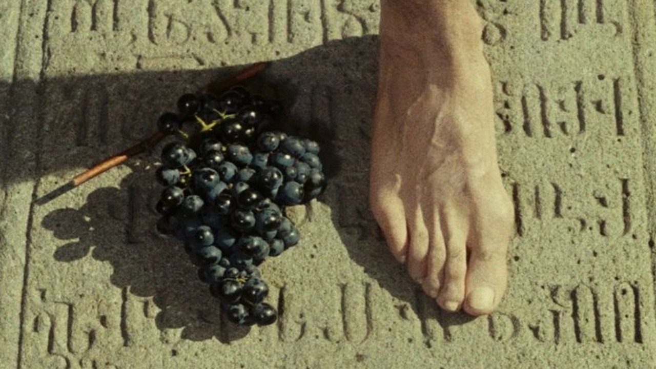 scenes 22