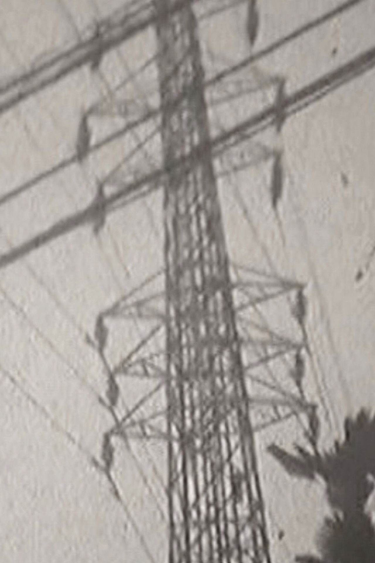 Film Workshop In SANGENJAYA - Summer Backdrop