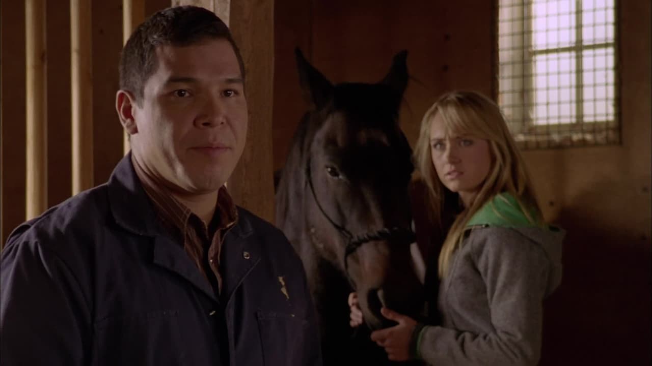 Heartland - Season 5 Episode 16 : Wild Horses