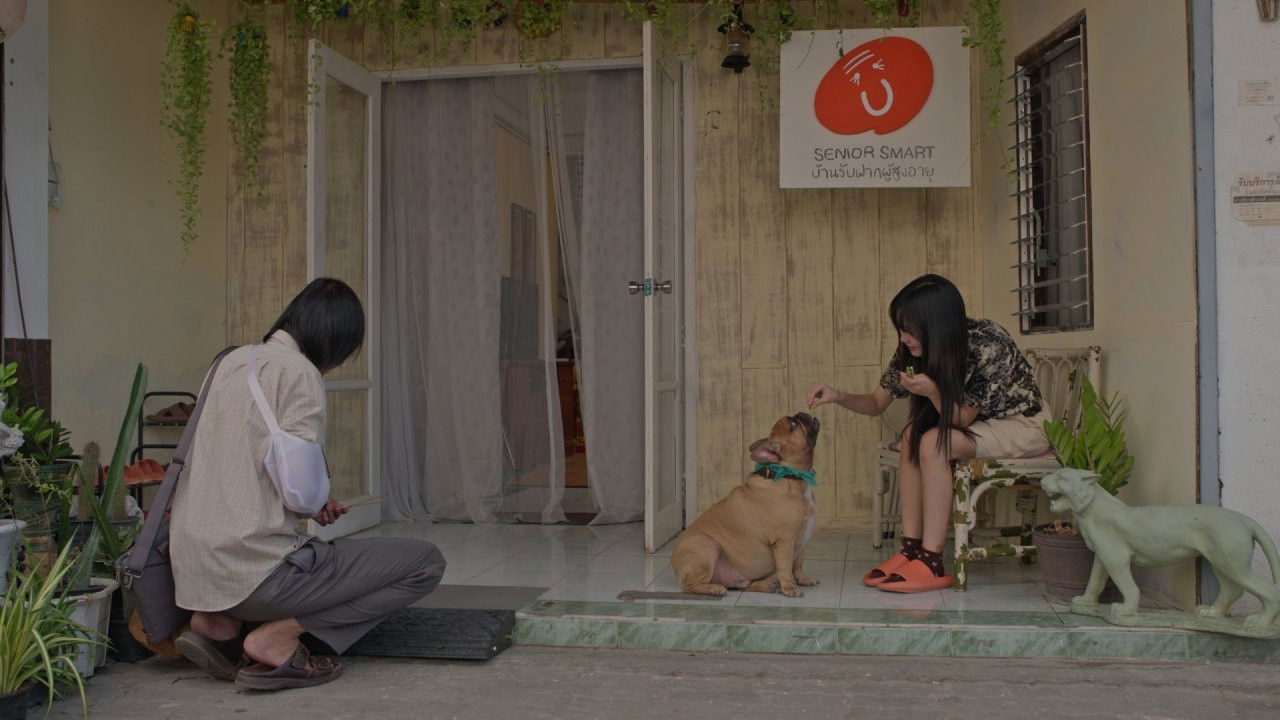 เกิด/แก่/เจ็บ/โต — Épisode 3