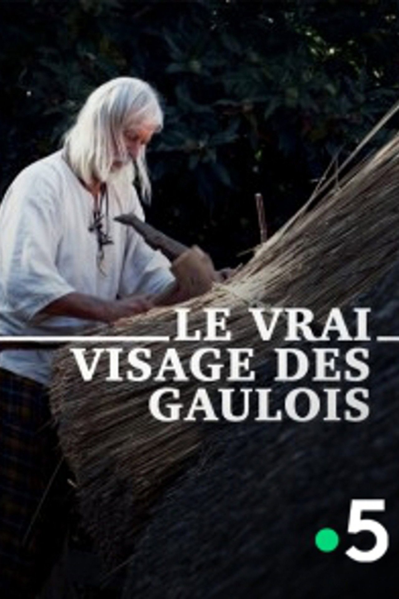 Le Vrai Visage des Gaulois filmaffisch