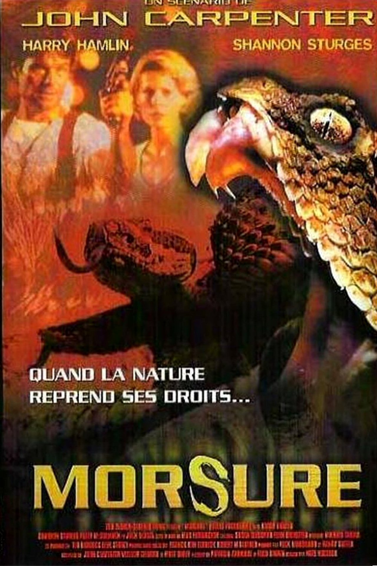 Morsure poster