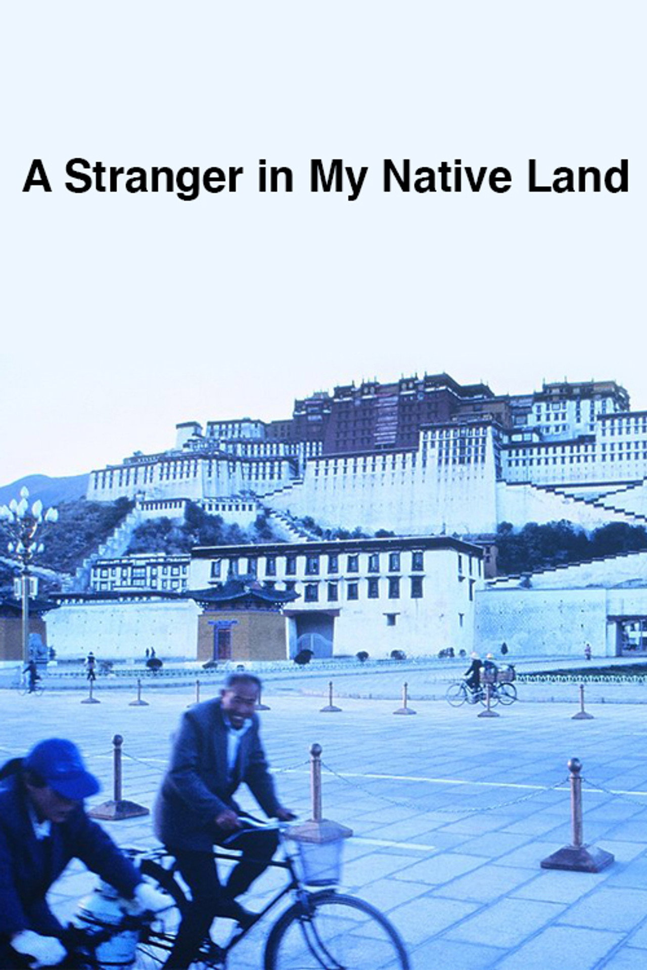 A Stranger in My Native Land filmaffisch