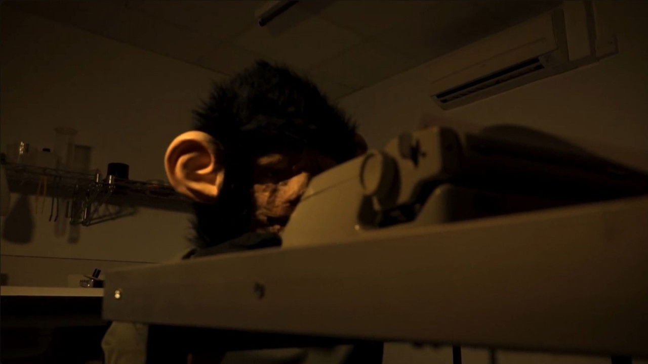 The Infinite Monkey Theorem Backdrop