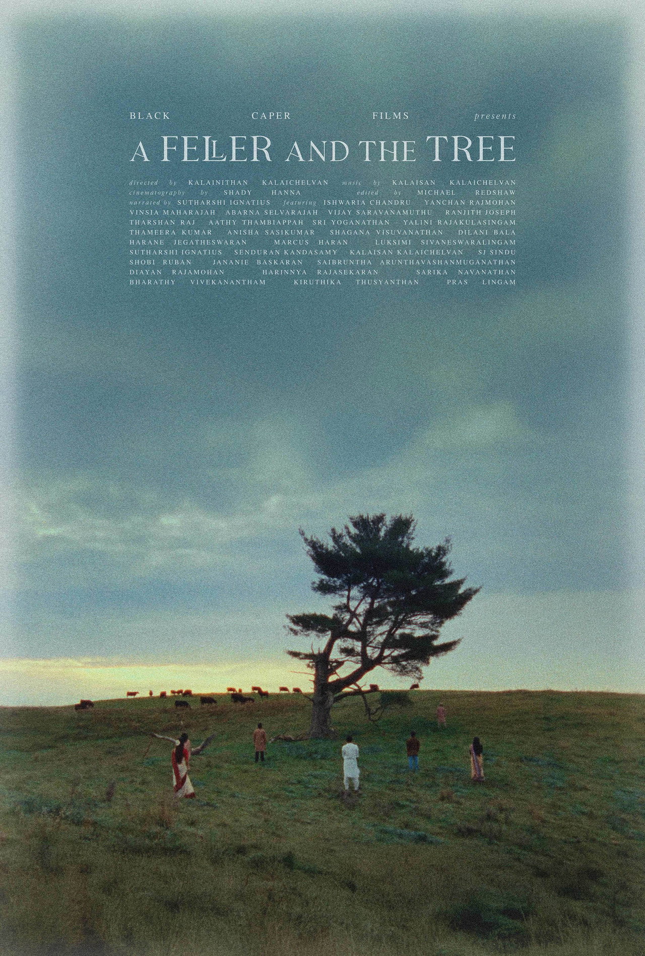 A Feller and the Tree filmaffisch