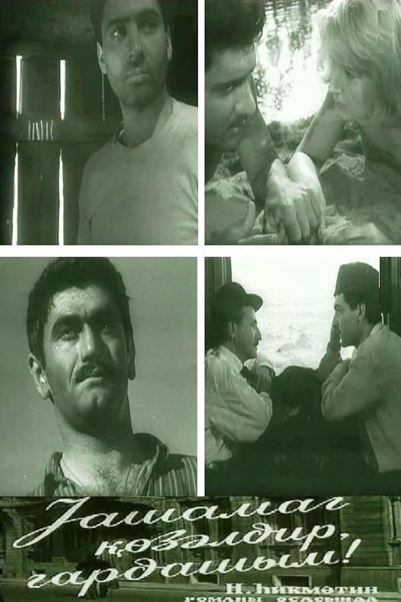 The Life is Beautiful, Brother! Backdrop