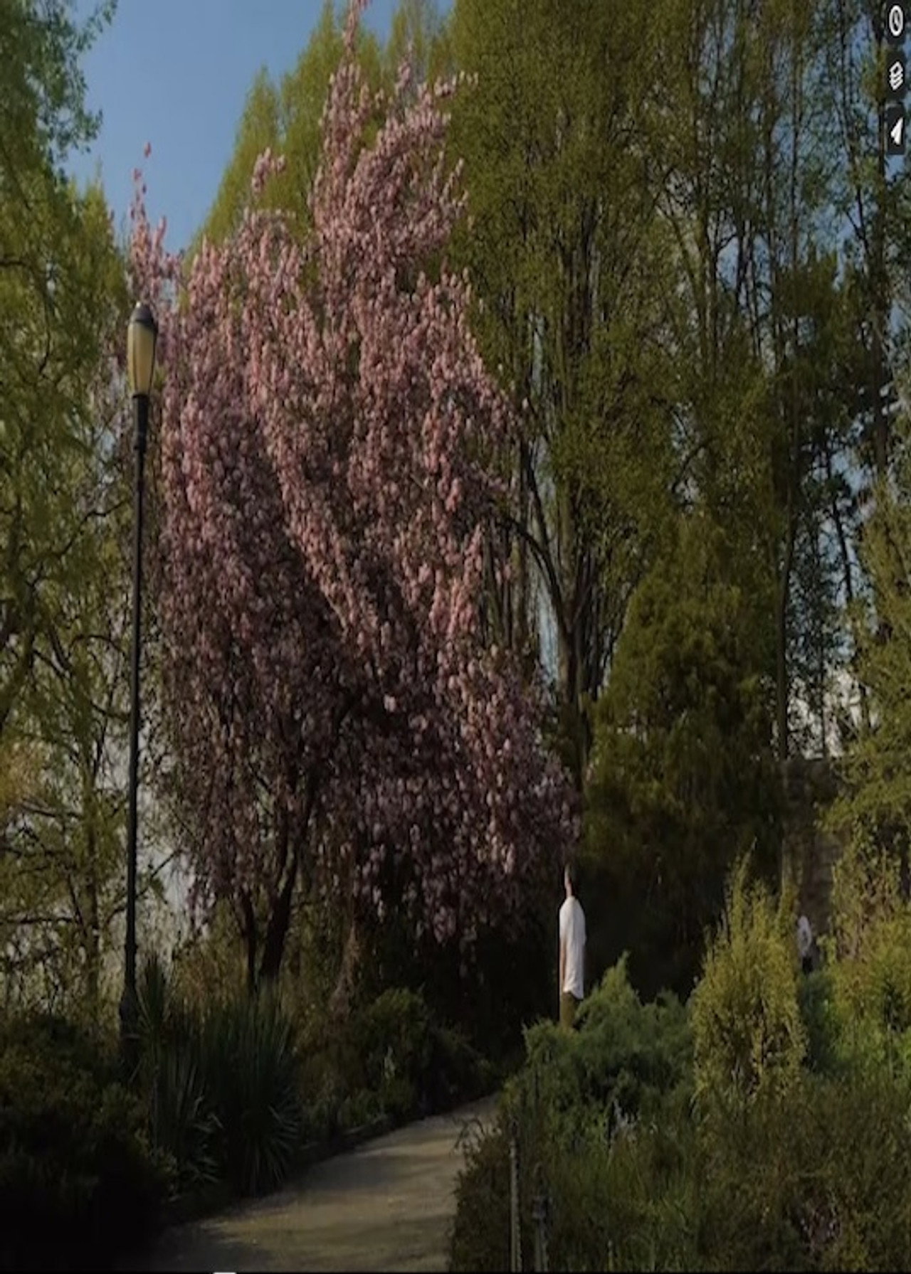 Reminiscent Hill filmaffisch