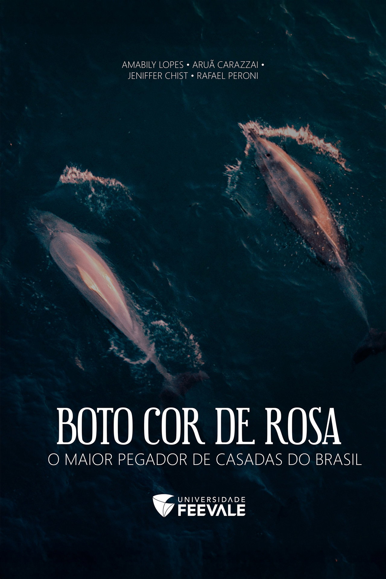Boto Cor de Rosa - O Maior Pegador de Casadas do Brasil filmaffisch