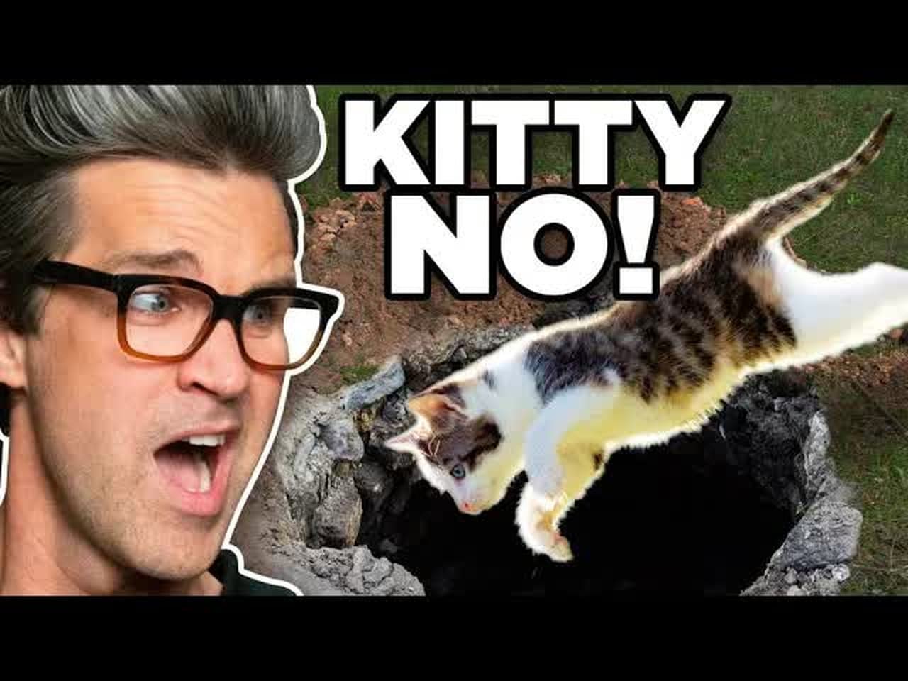 Animals Who Tried But Failed (Guessing Game)