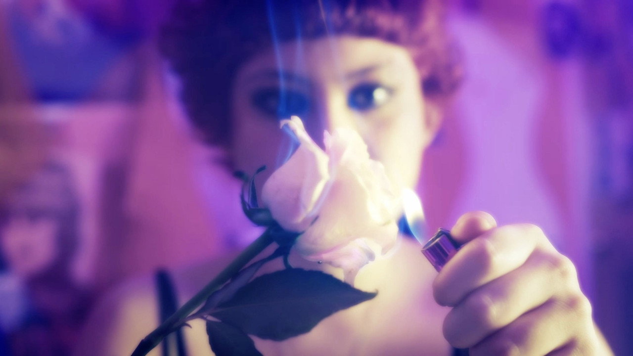 Violetas