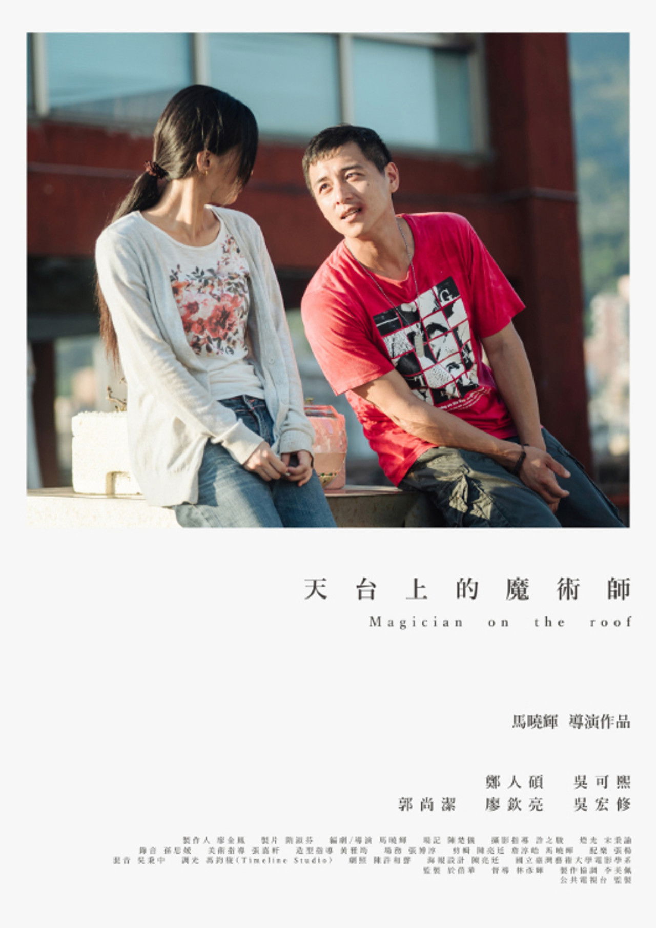 Magician on the Roof Backdrop