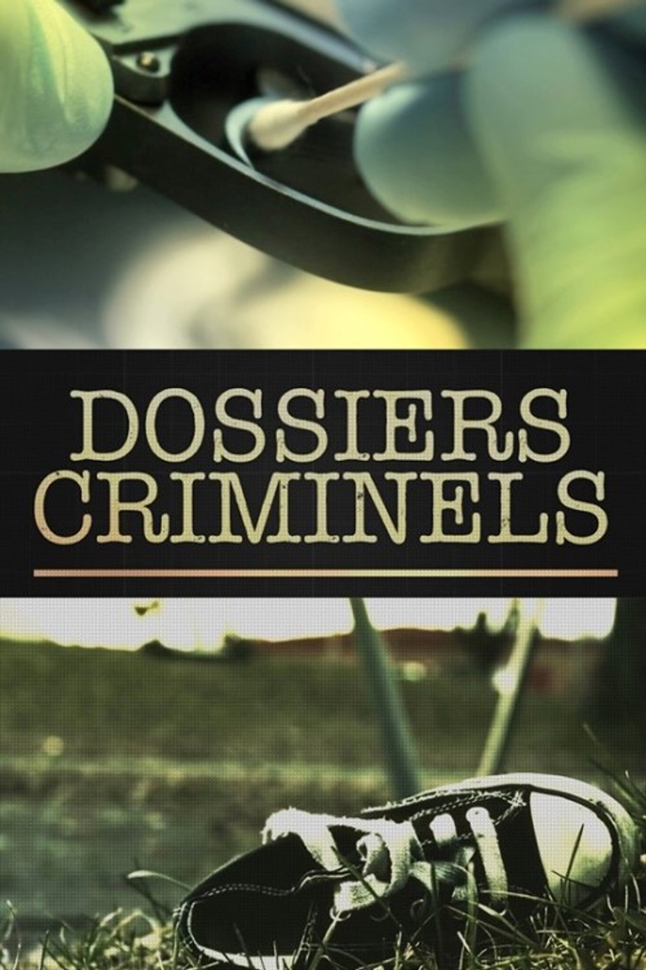 Dossiers criminels filmaffisch
