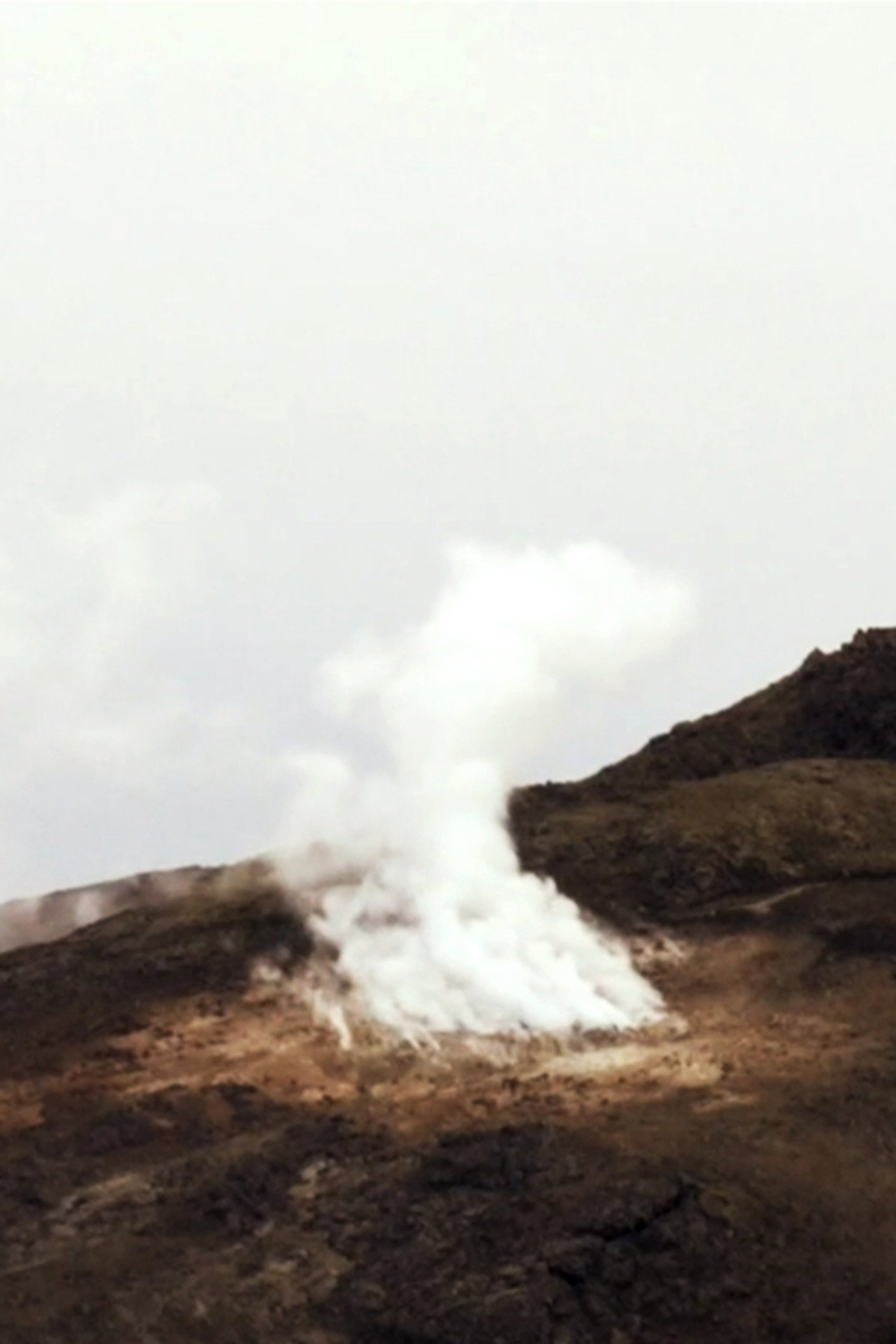 Na vibración da terra filmaffisch