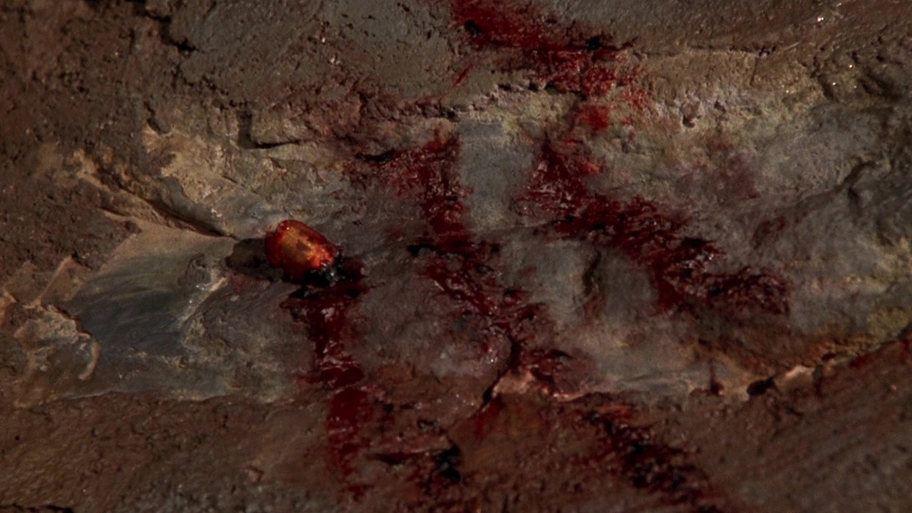 The Silence of the Lambs (1991)