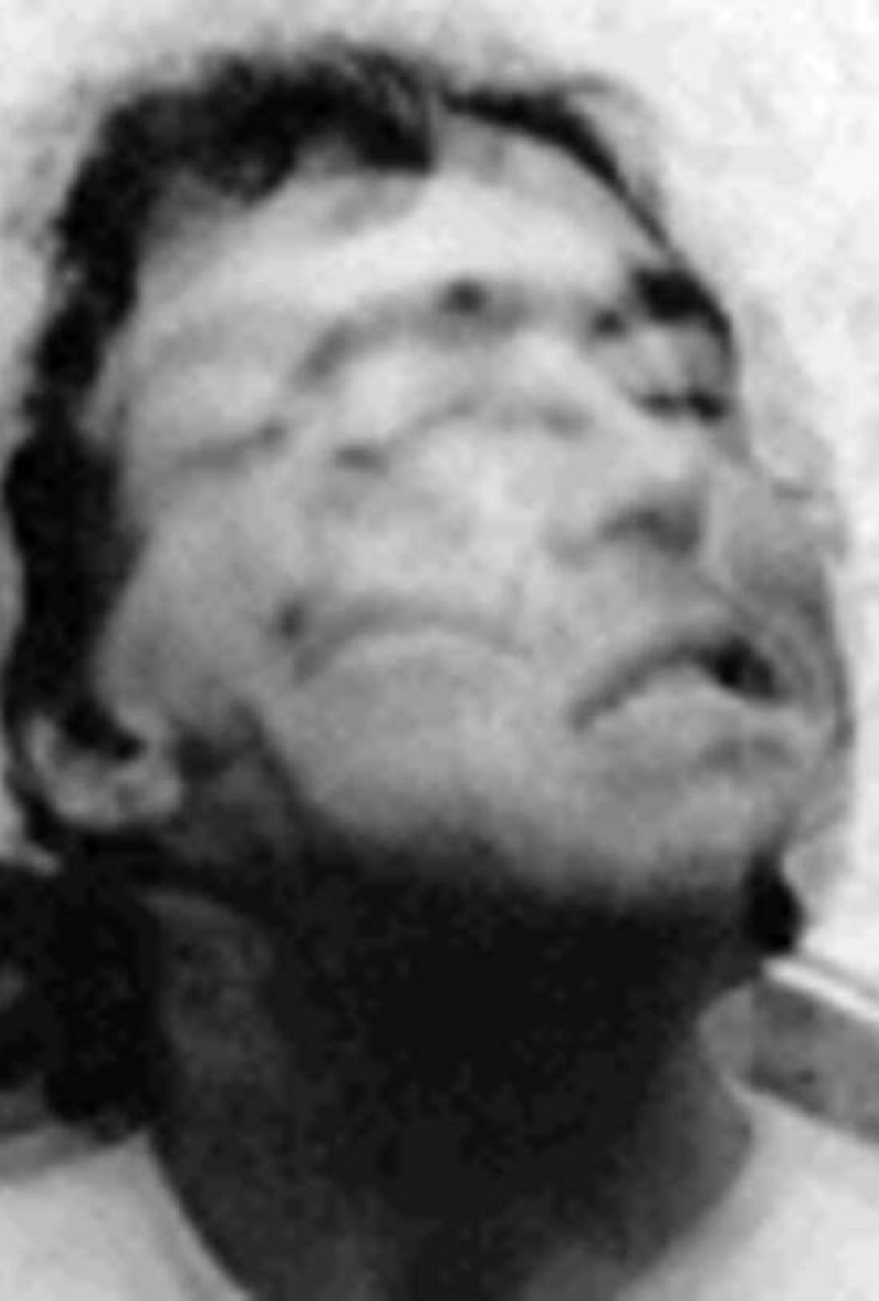 Twitch and Shout Backdrop