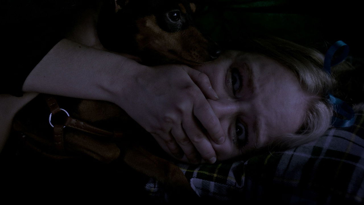 Grizzly Night backdrop