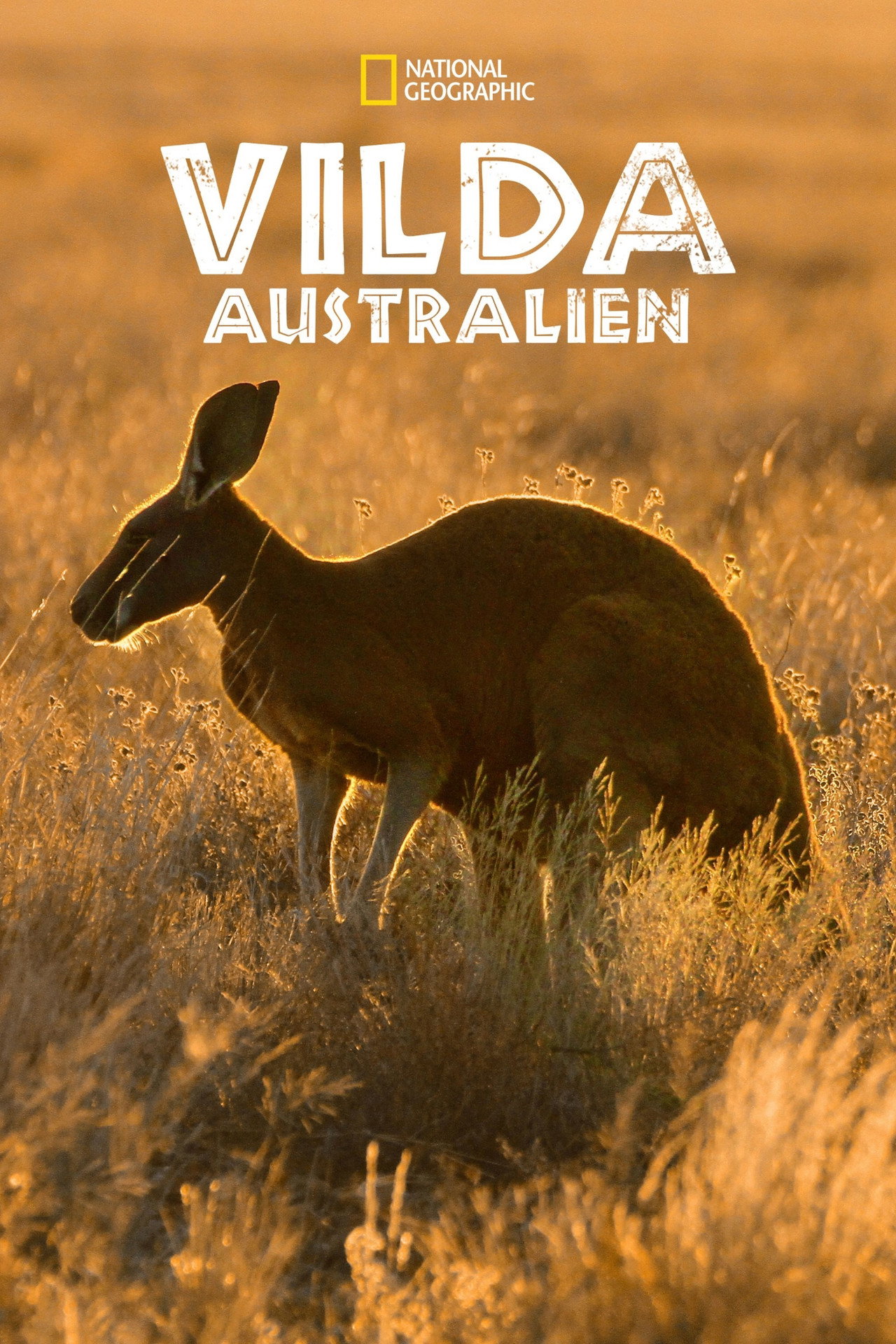 Vilda Australien affisch