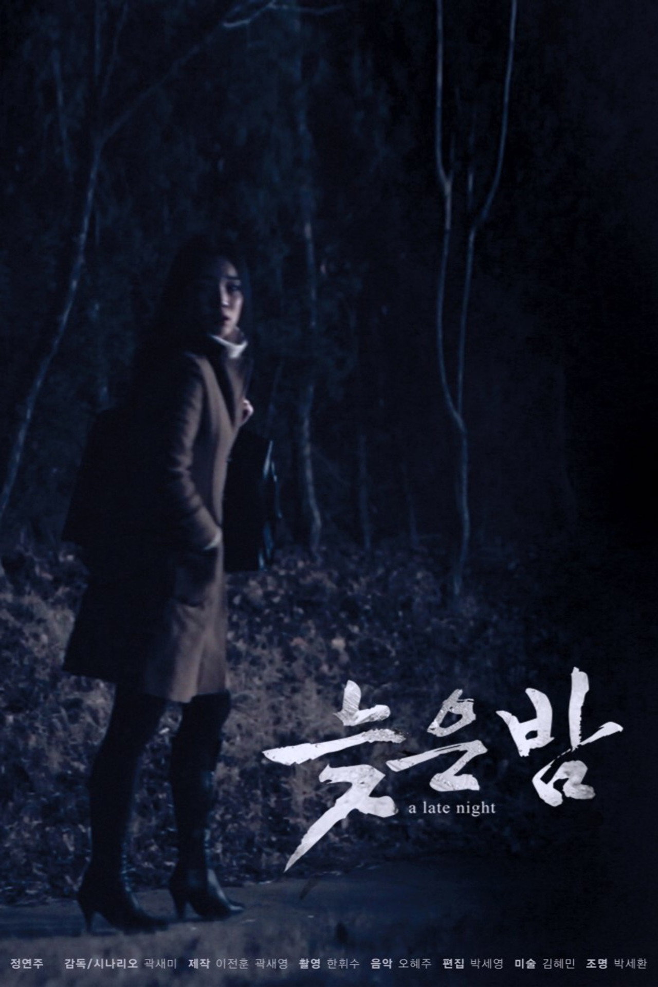 늦은 밤 filmaffisch