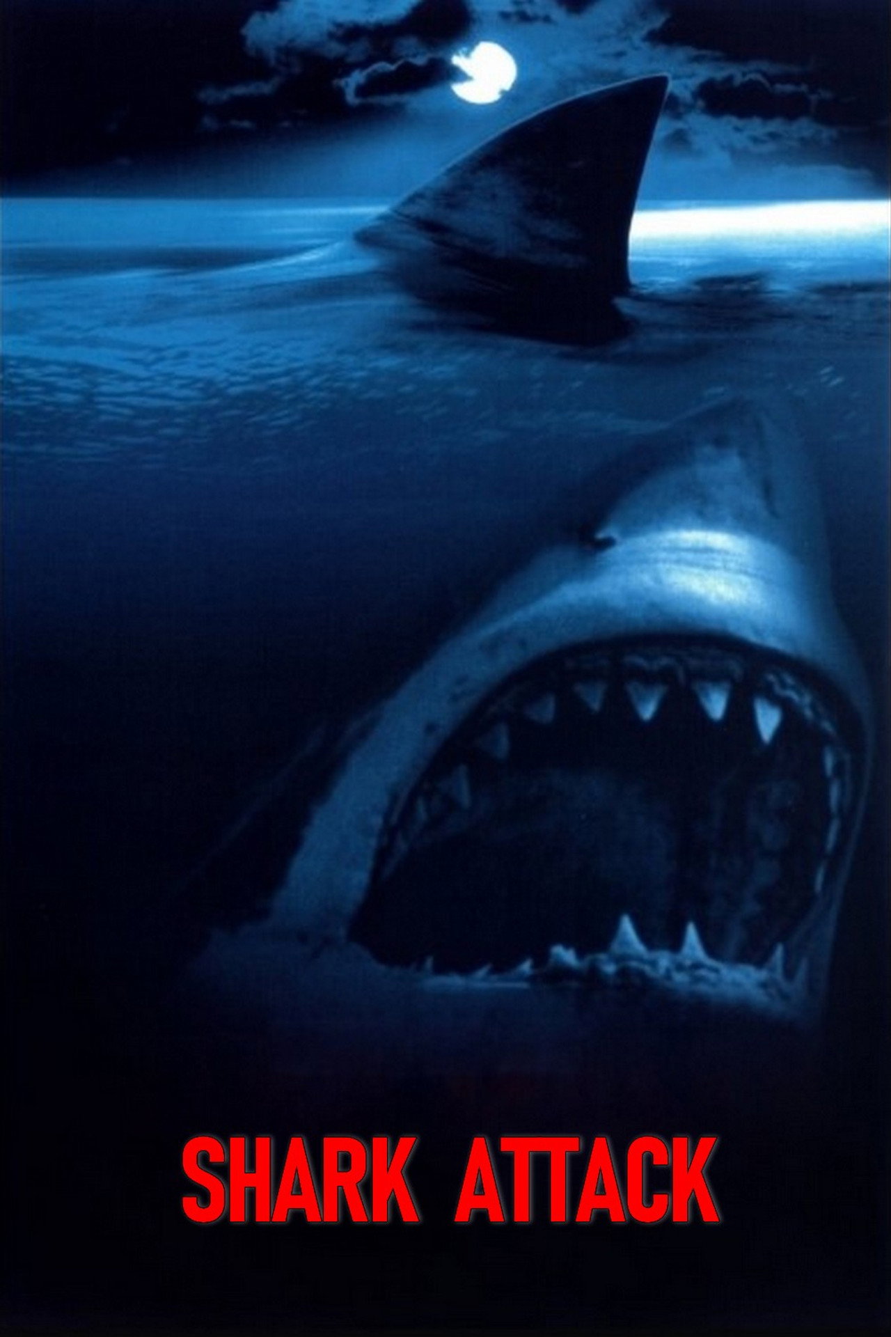 Shark Attack