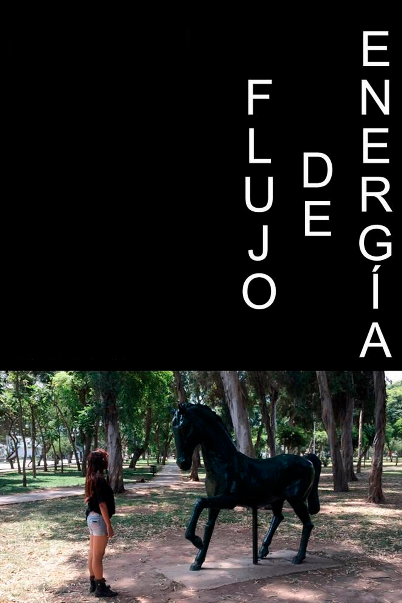 Flujo de Energía