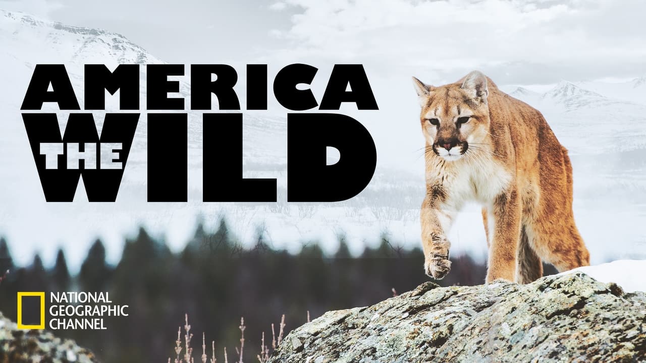 America the Wild with Casey Anderson background