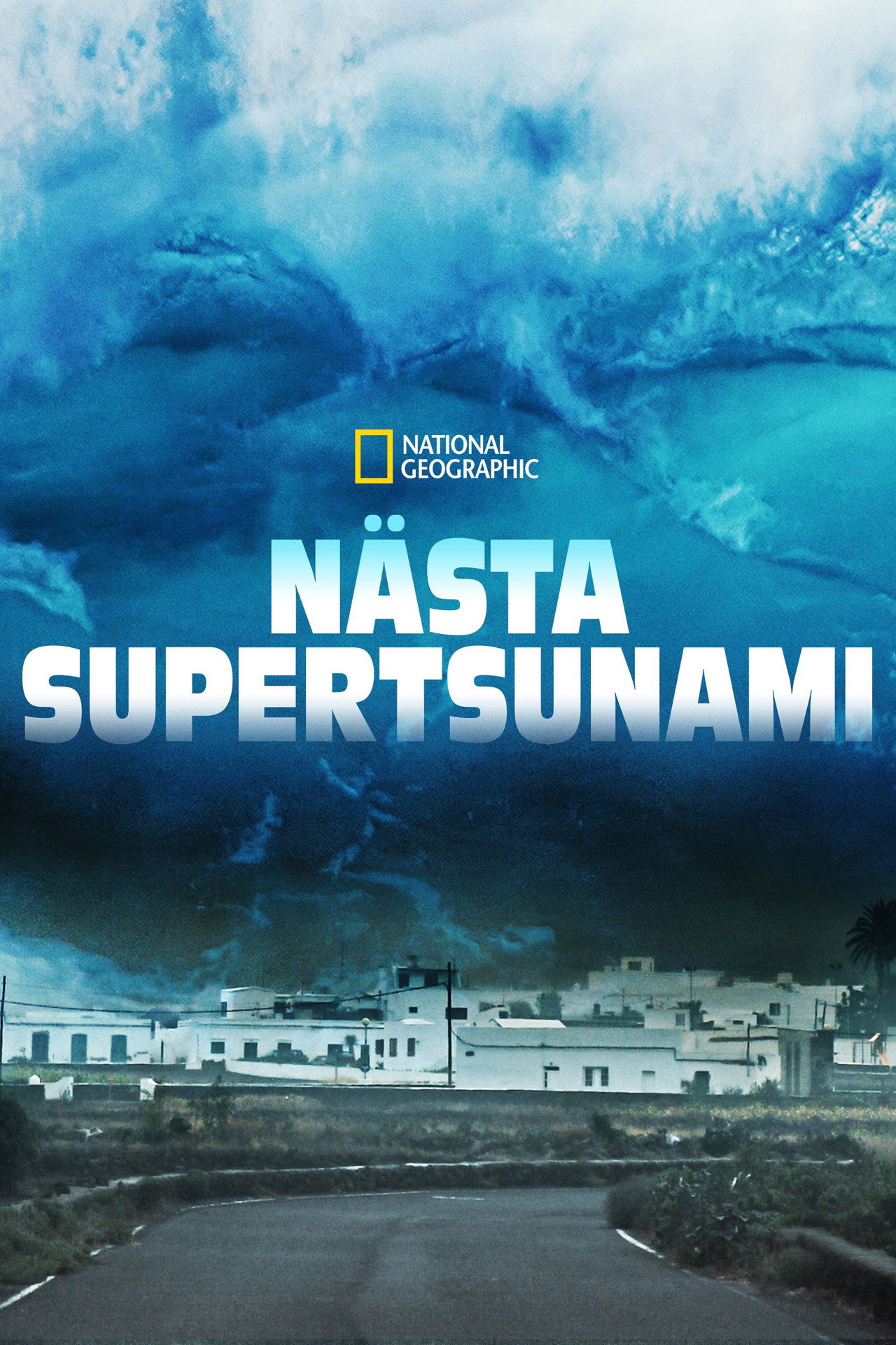 The Next Mega Tsunami filmaffisch