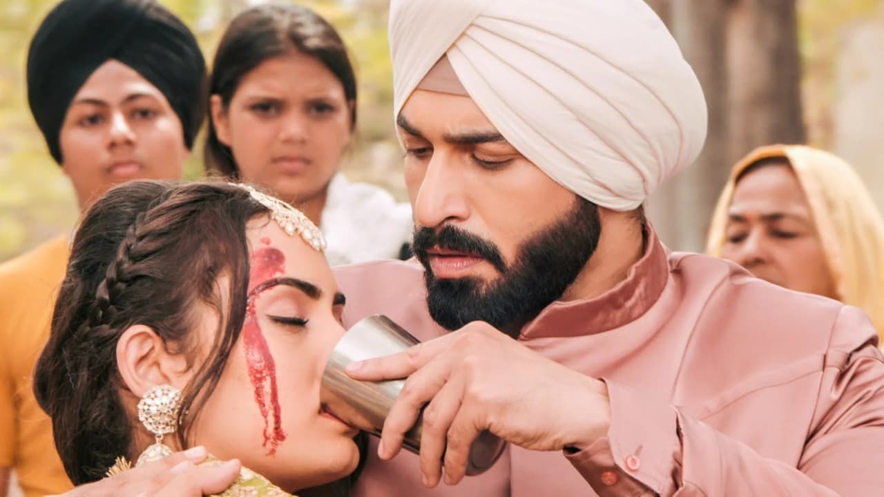 Teri Meri Doriyaann - Season 1 Episode 114 : Sahiba Gets Injured.