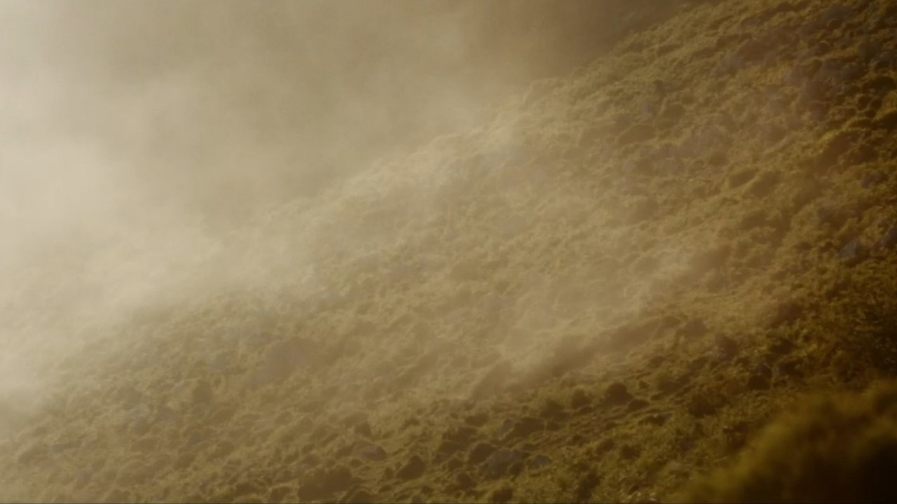 Savages: The Wolf's Tale backdrop