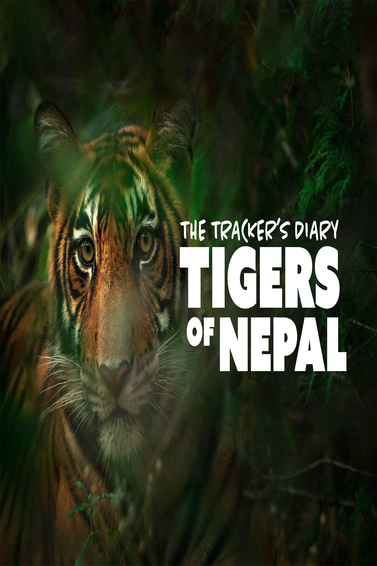 The Trackers Diary Tigers Of Nepal poster