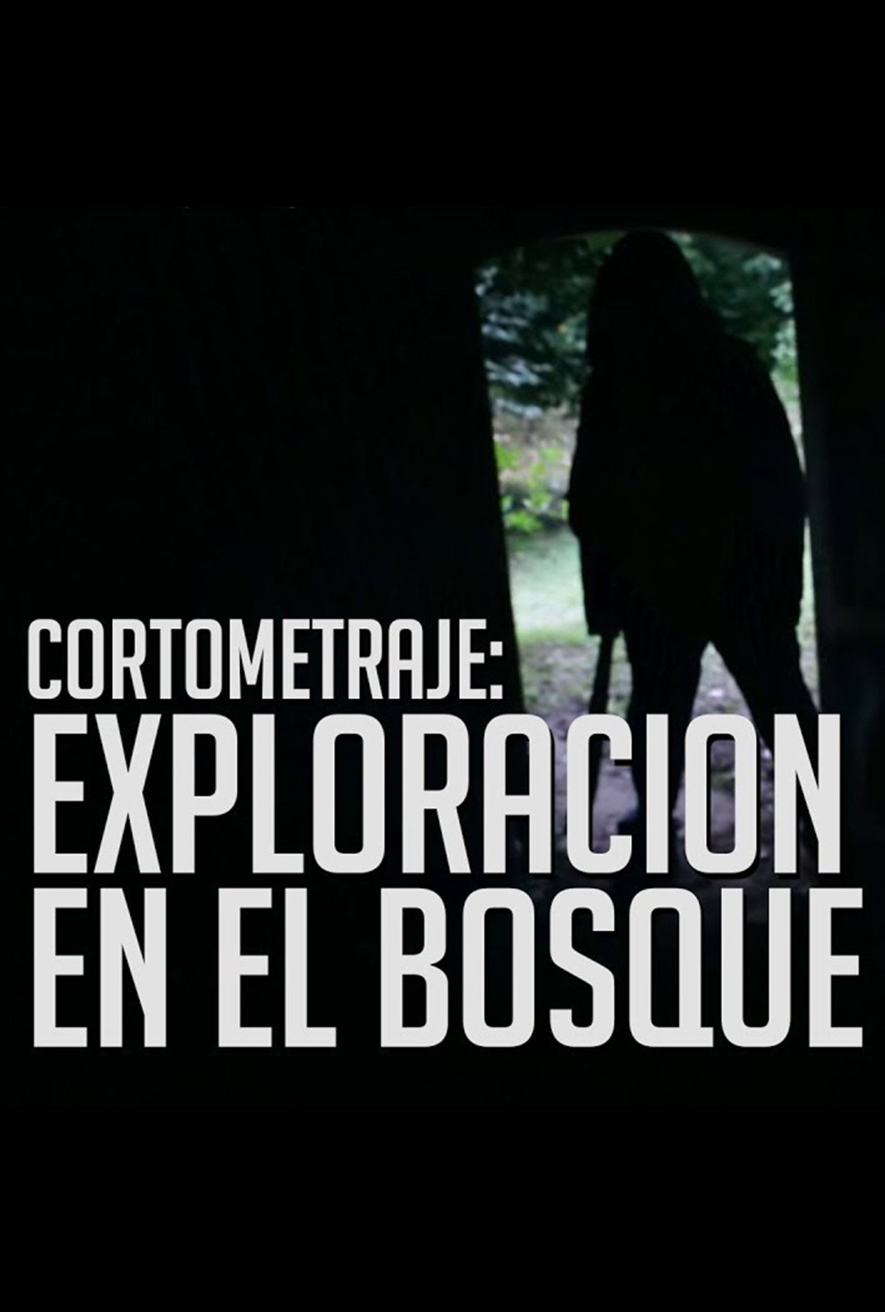 Trágica exploración en el Bosque filmaffisch