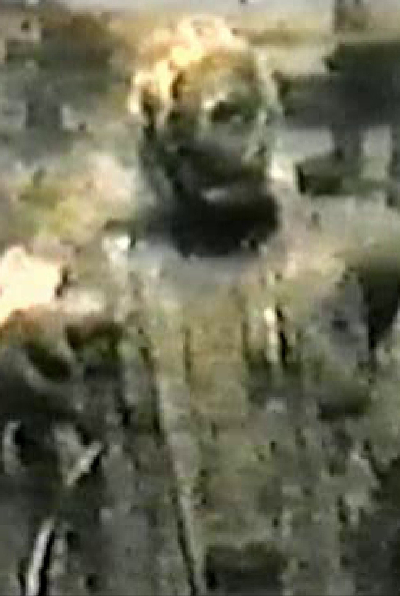 The House of the Living Dead: The Injection 2 Backdrop