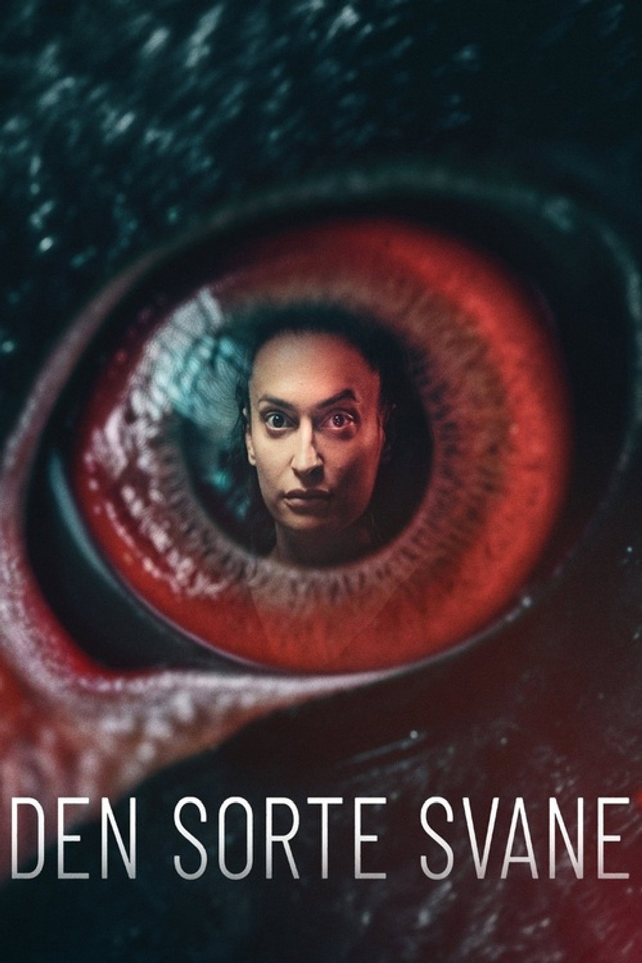 Säsong 1