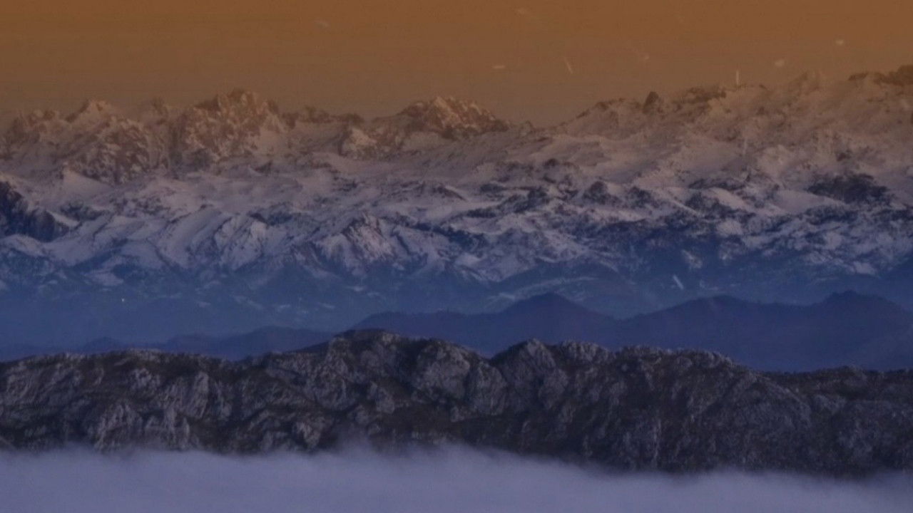 Savages: The Wolf's Tale backdrop