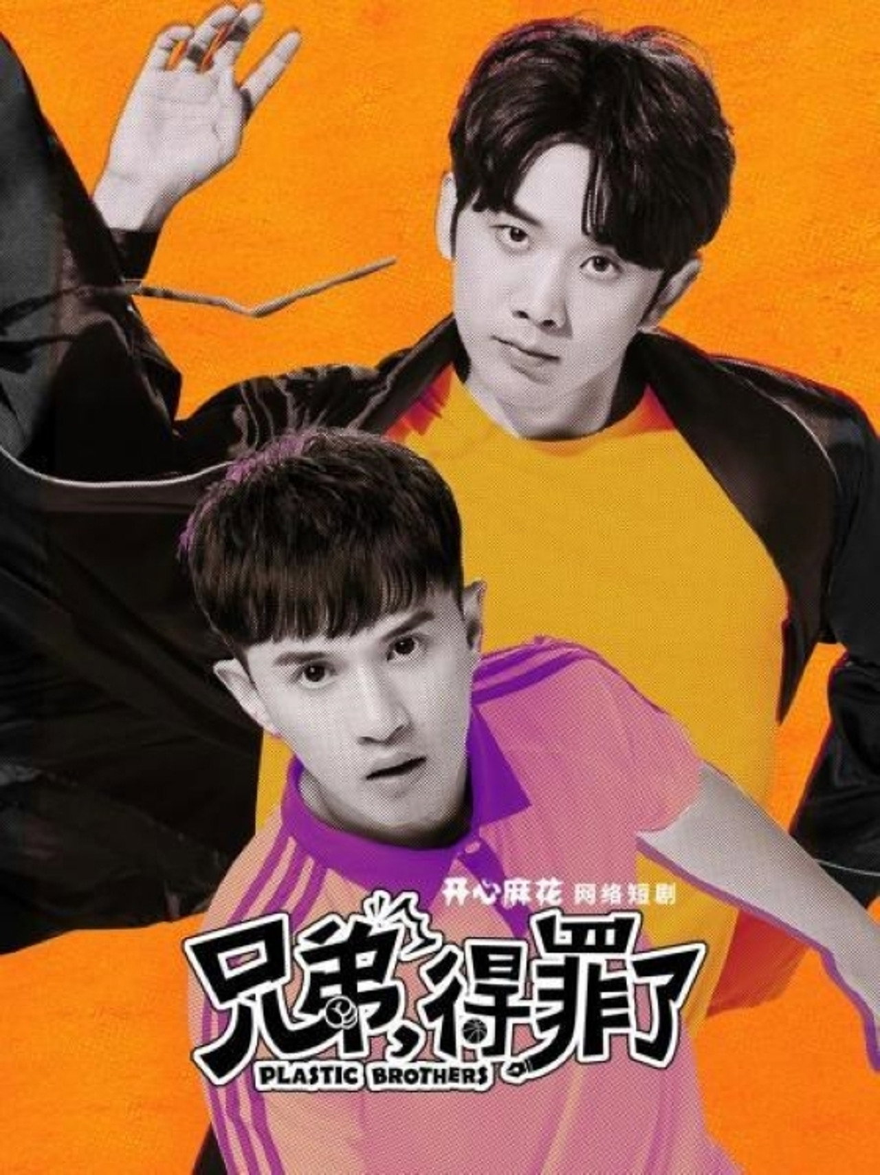 兄弟,得罪了 affisch