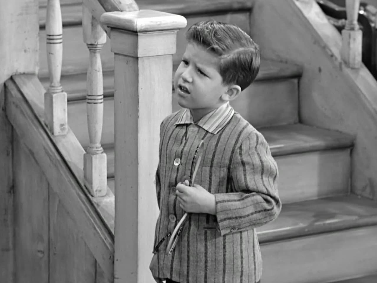 I Love Lucy - Season 6 Episode 17 : Lucy Misses the Mertzes