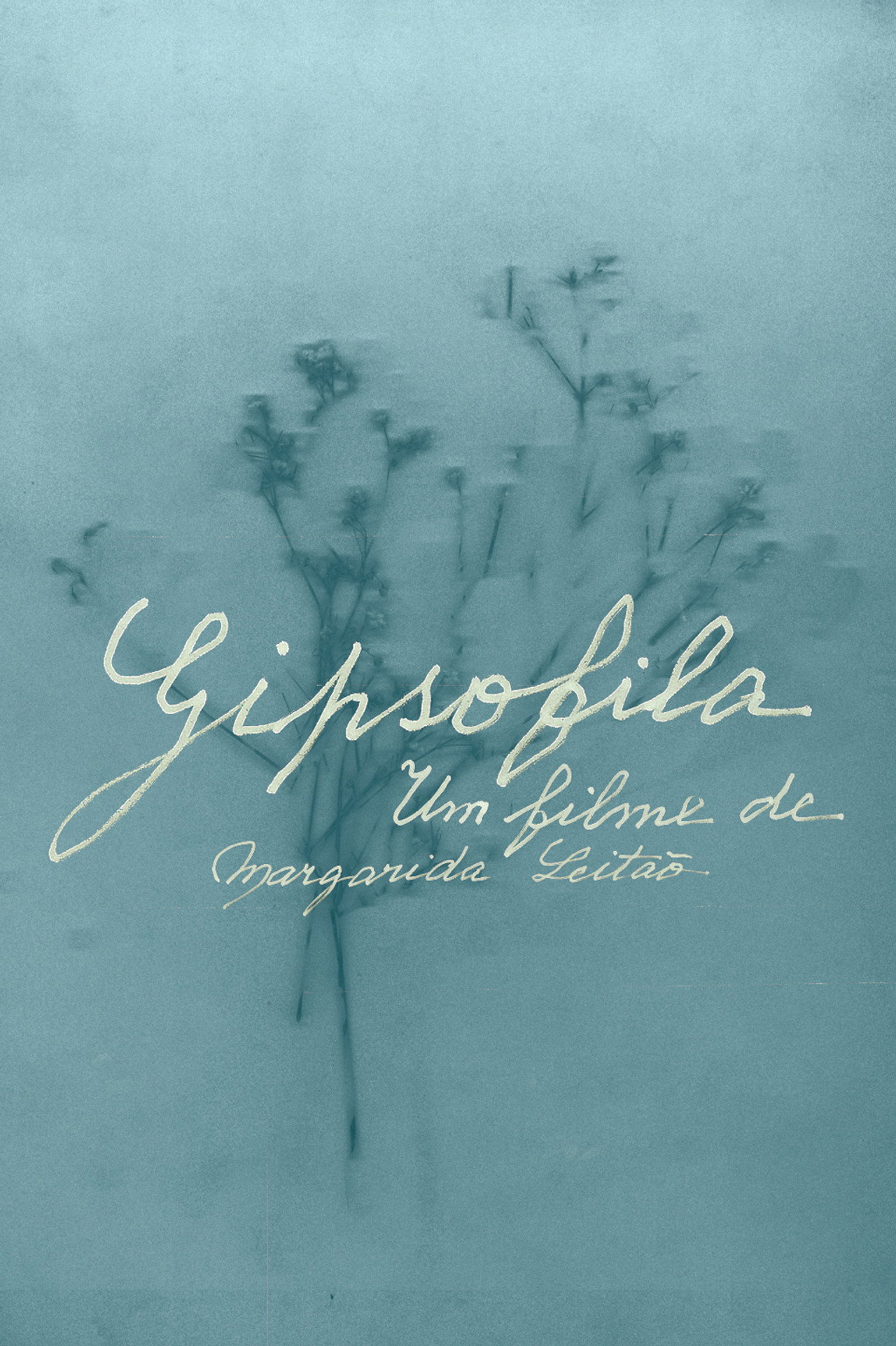 Gypsophila Backdrop