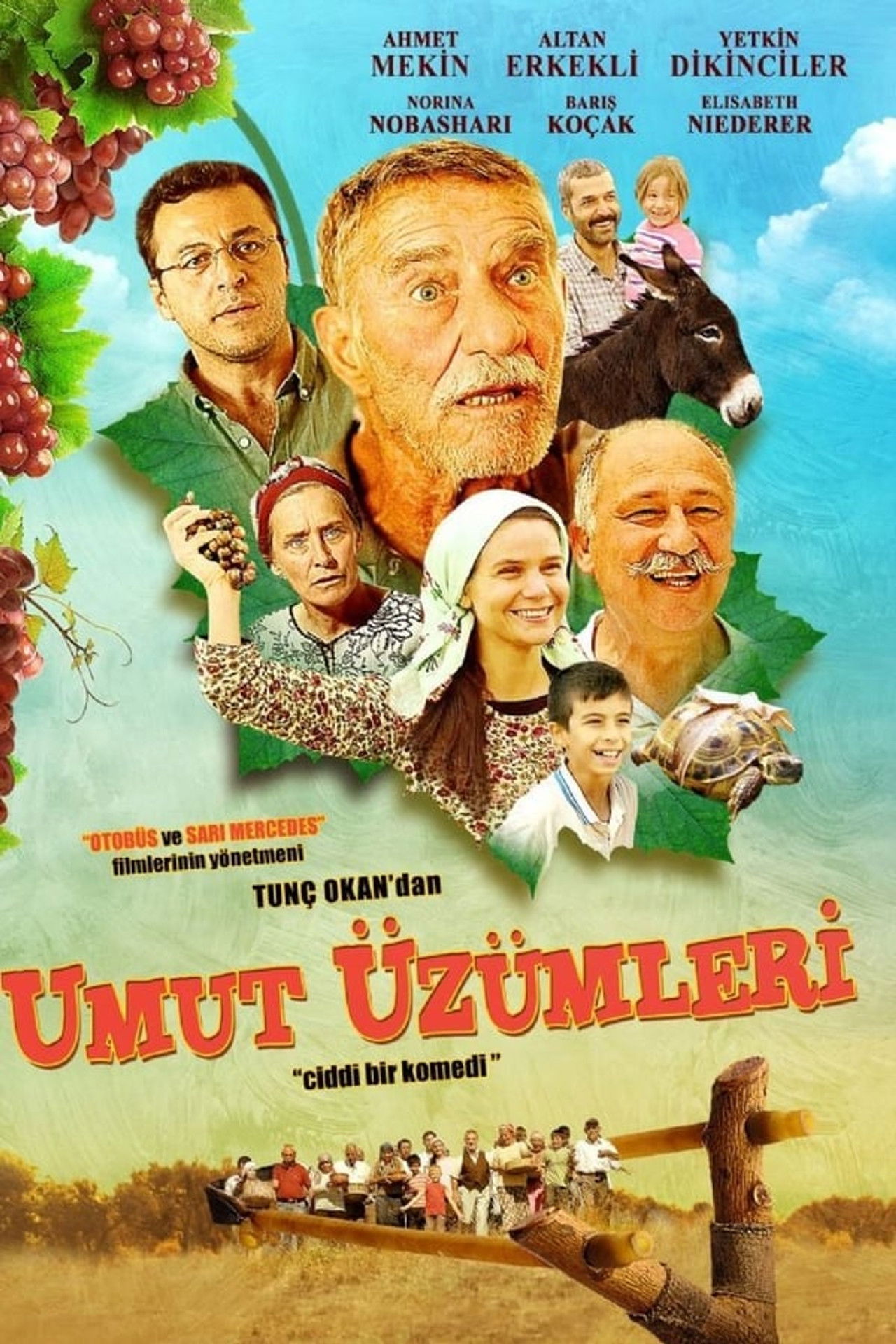 Umut Üzümleri Backdrop
