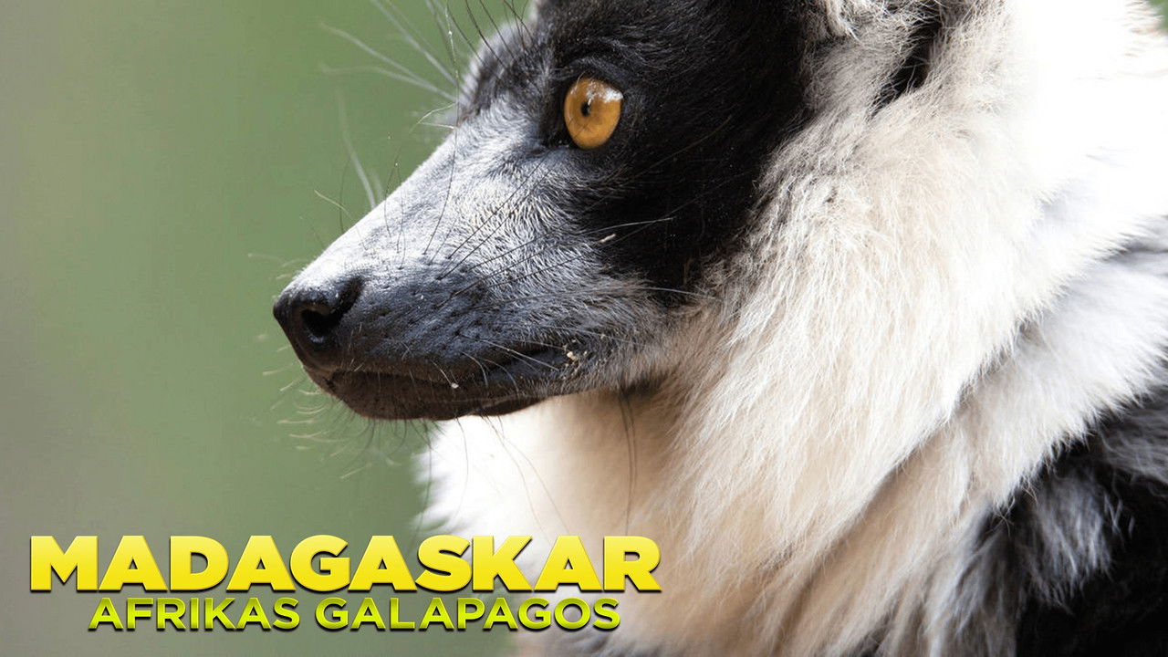 Madagascar: Africa's Galapagos backgrop image