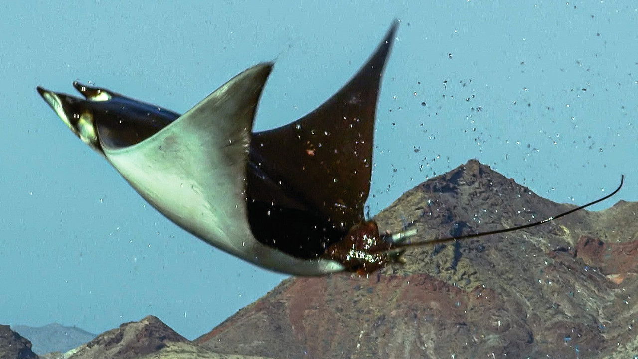 Deadly 60 — Épisode 11