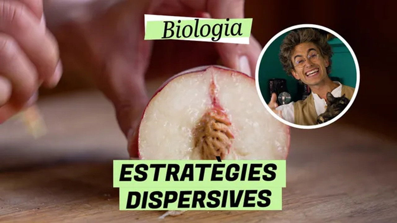 Biologia — Épisode 15