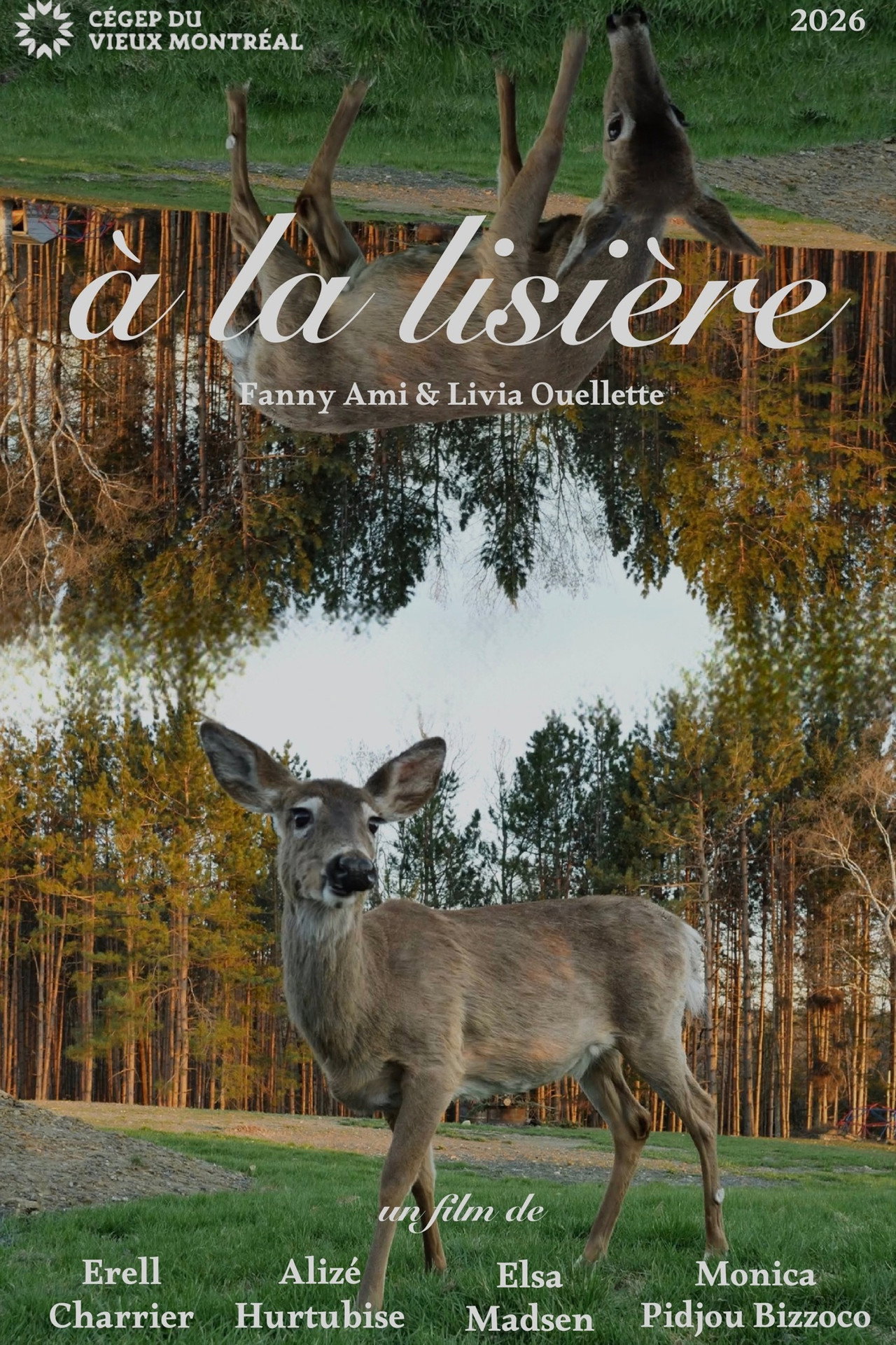 À la lisière Backdrop