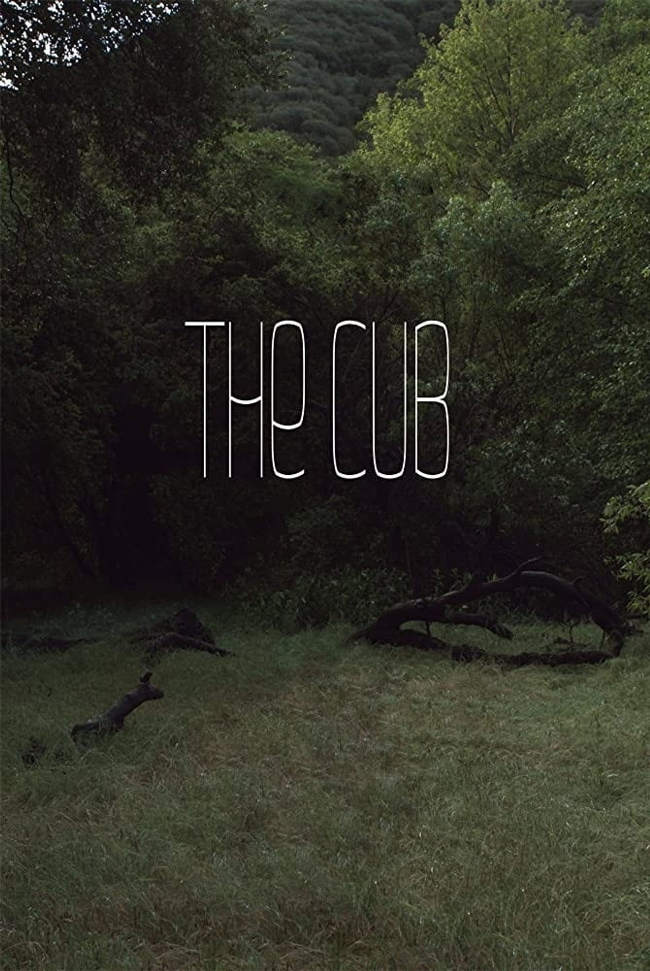 The Cub filmaffisch