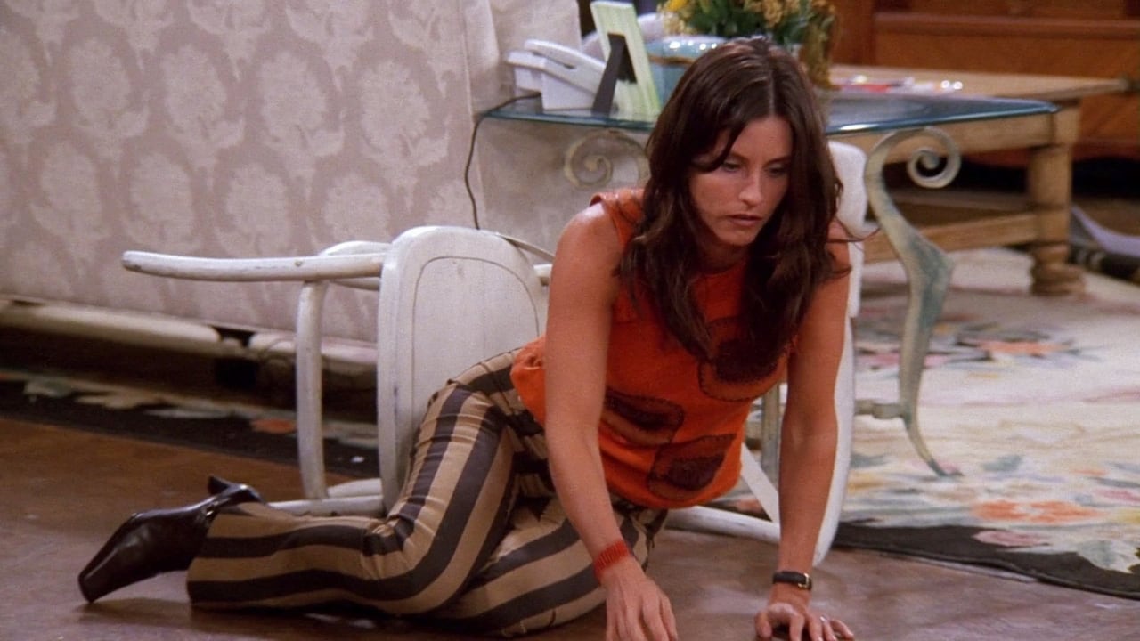 Friends - Season 8 Episode 7 : The One with the Stain