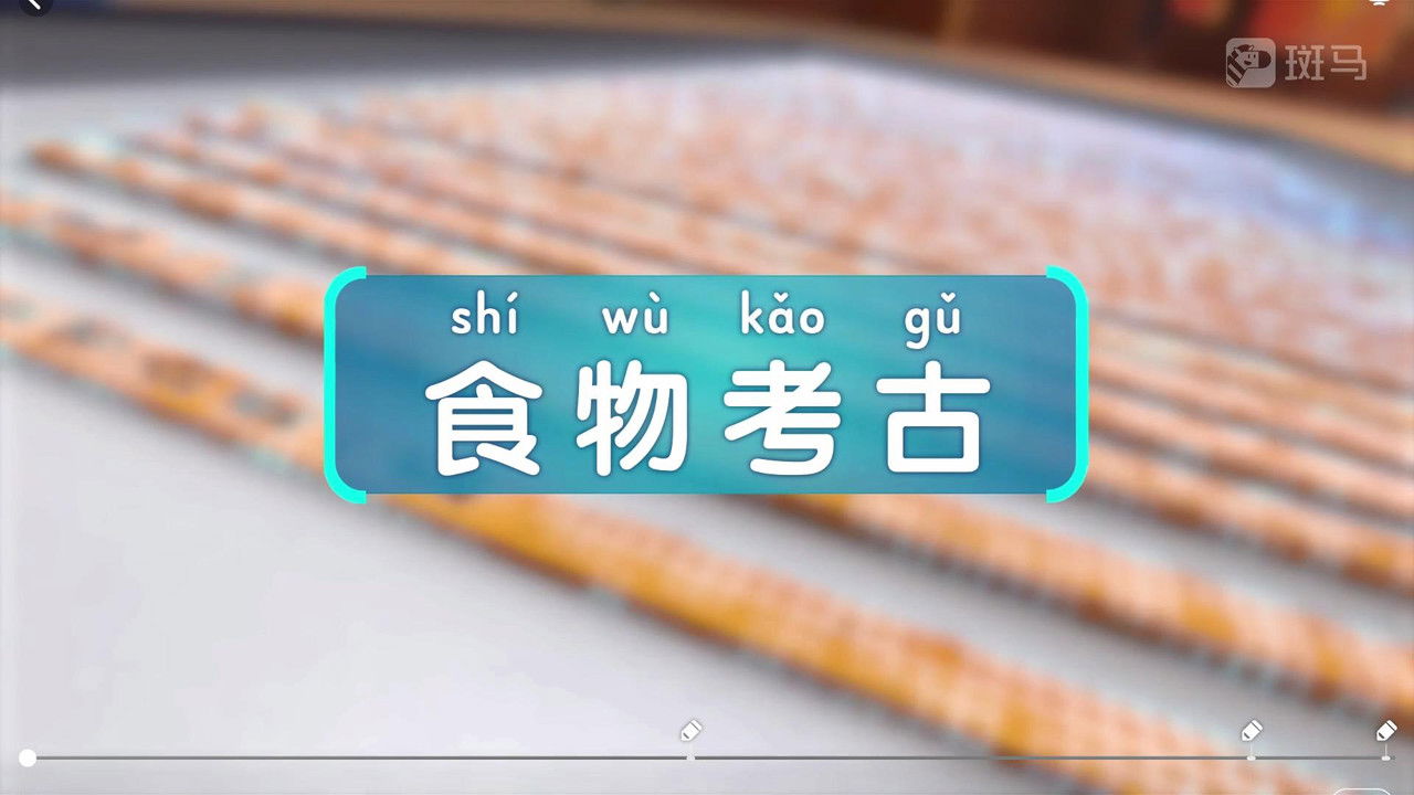 斑马百科 — Épisode 8