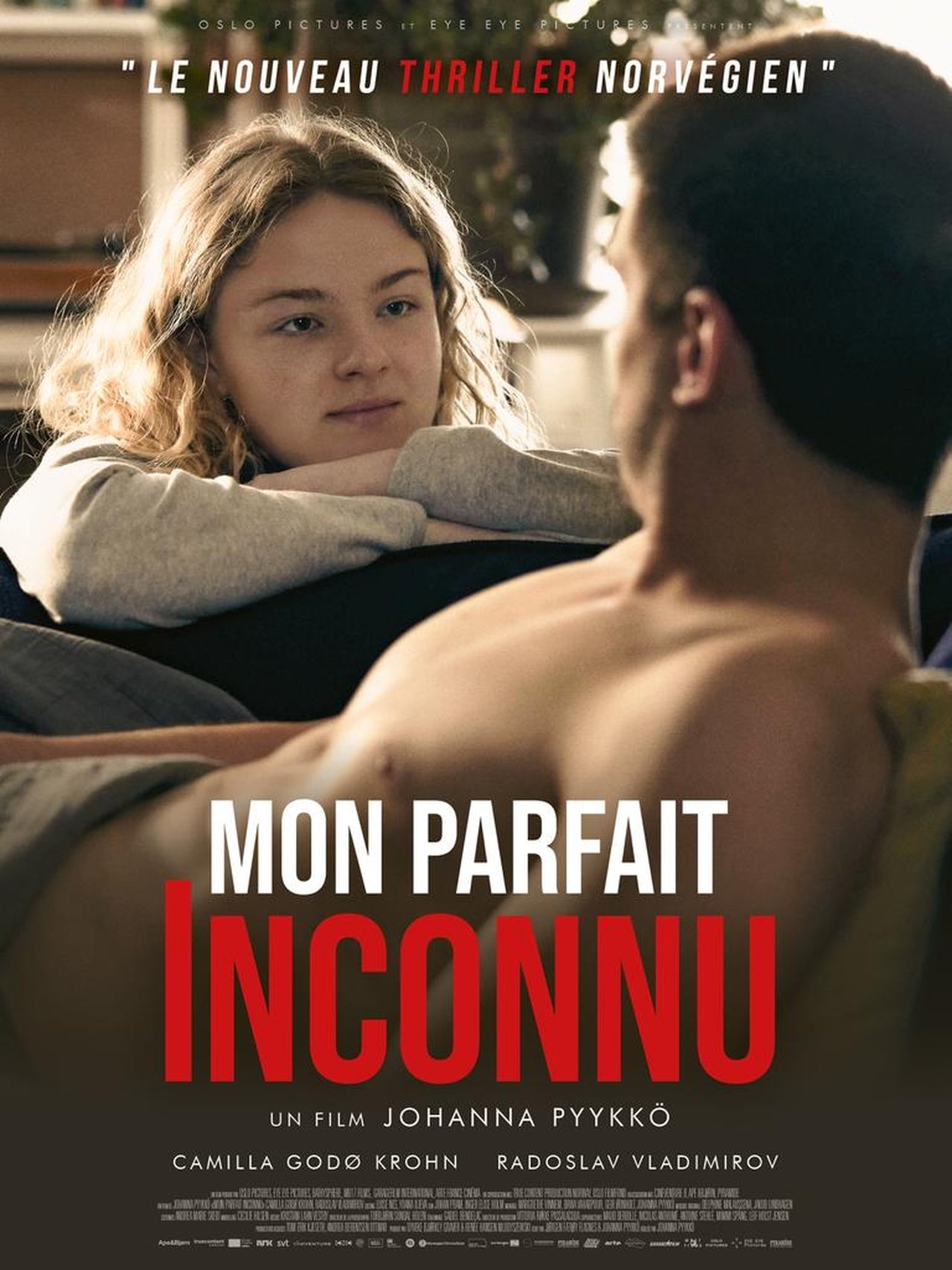 Mon parfait inconnu poster