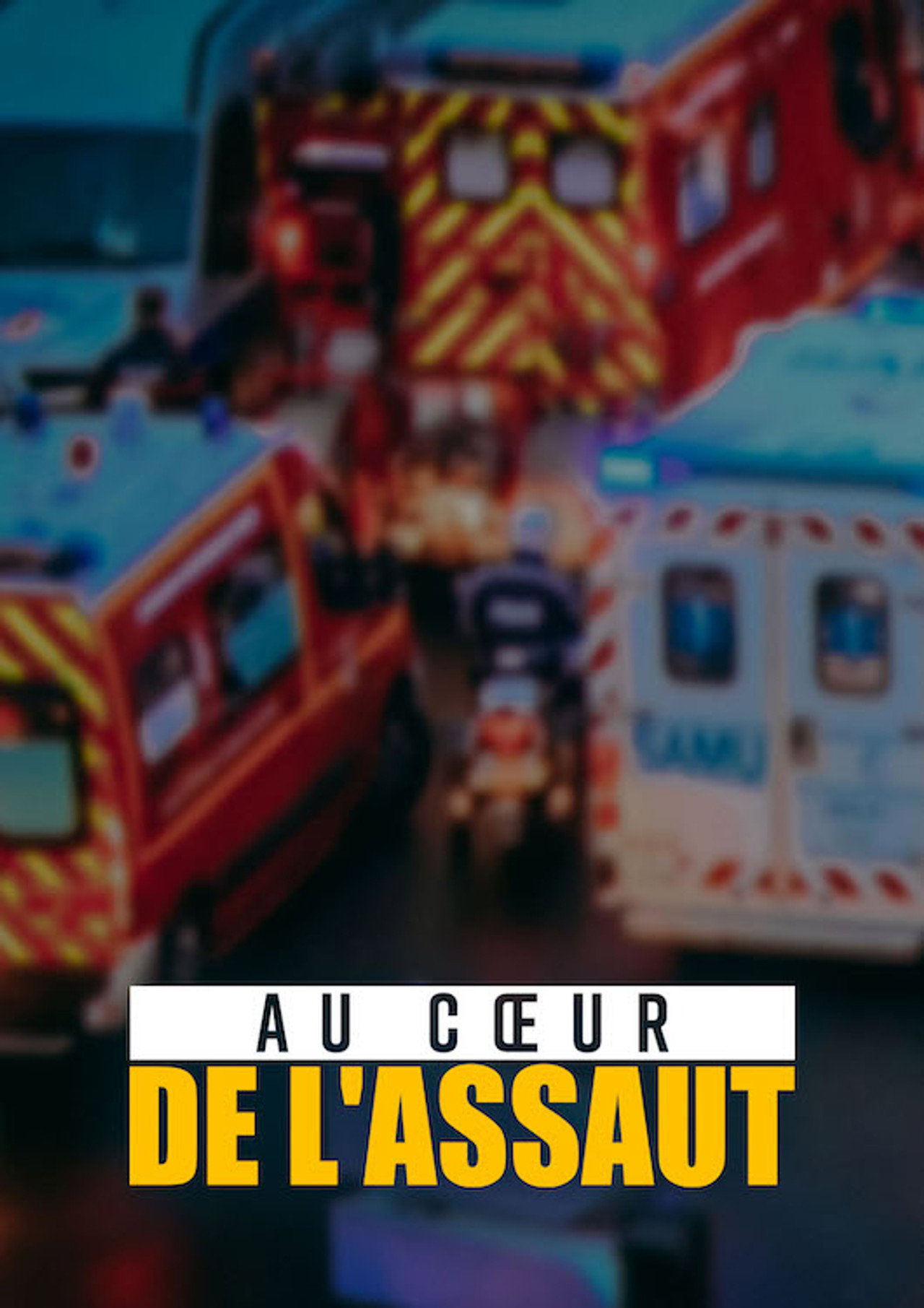Au coeur de l'assaut filmaffisch