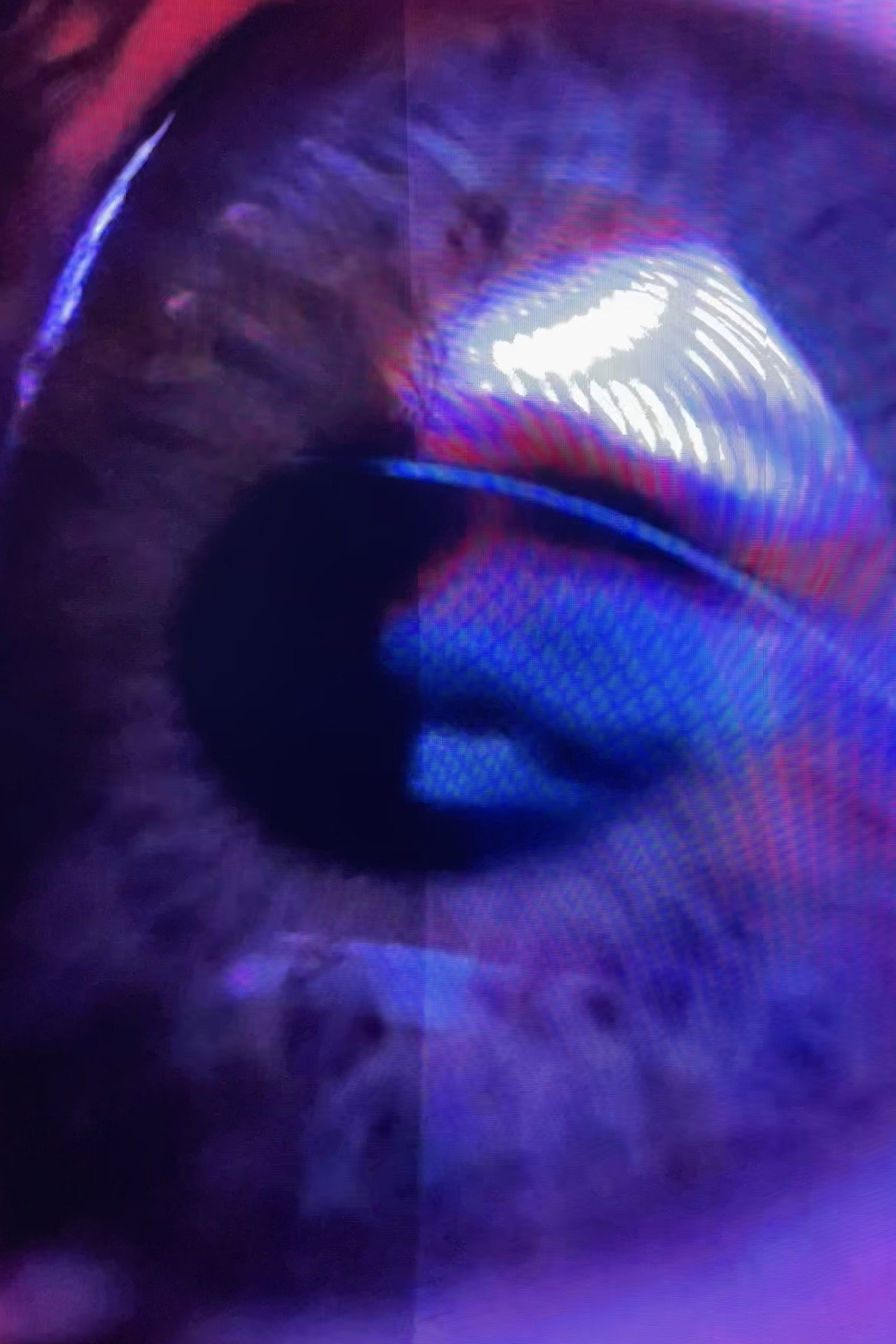 One Glass Eye Melting filmaffisch