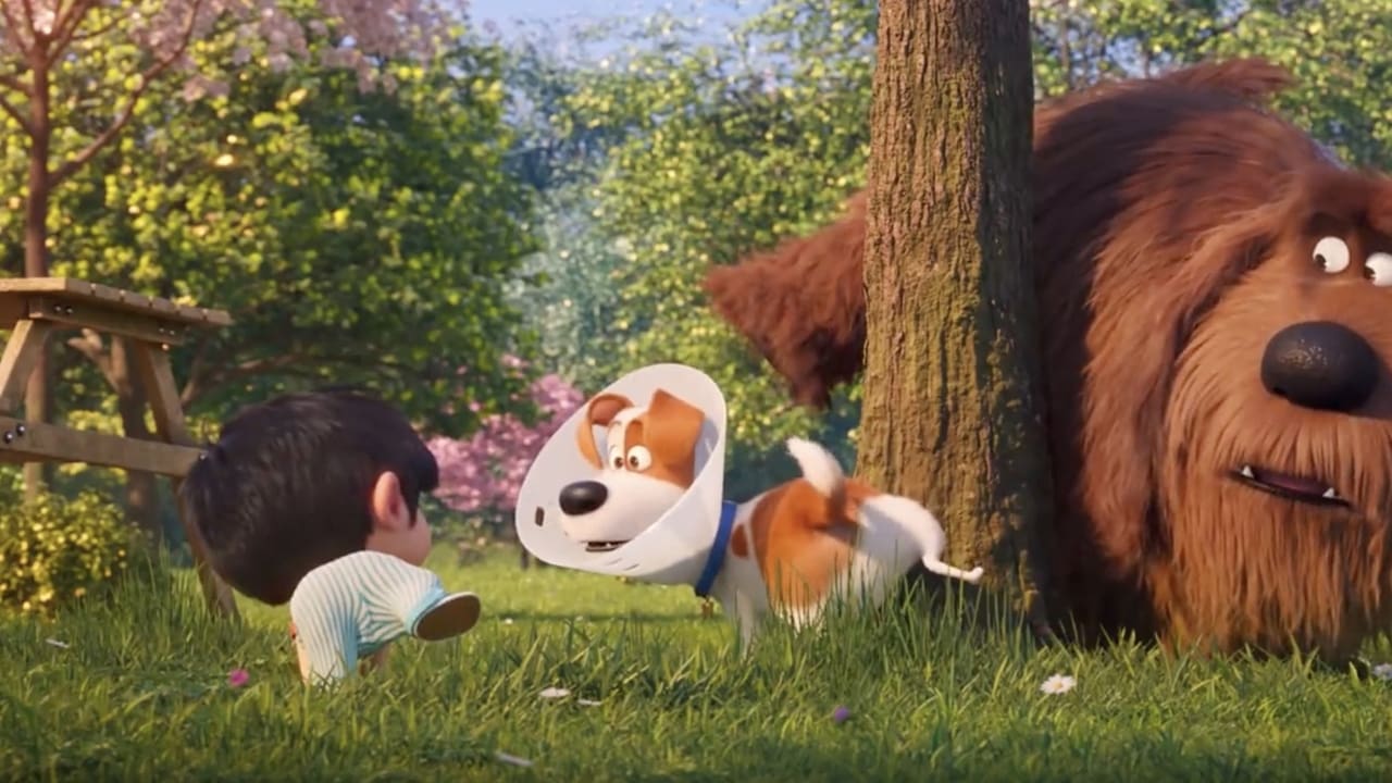 the secret life of pets movie watch online free