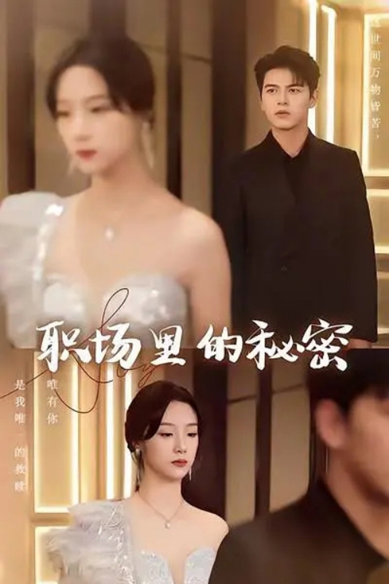 离职后,宋秘书她杀疯了