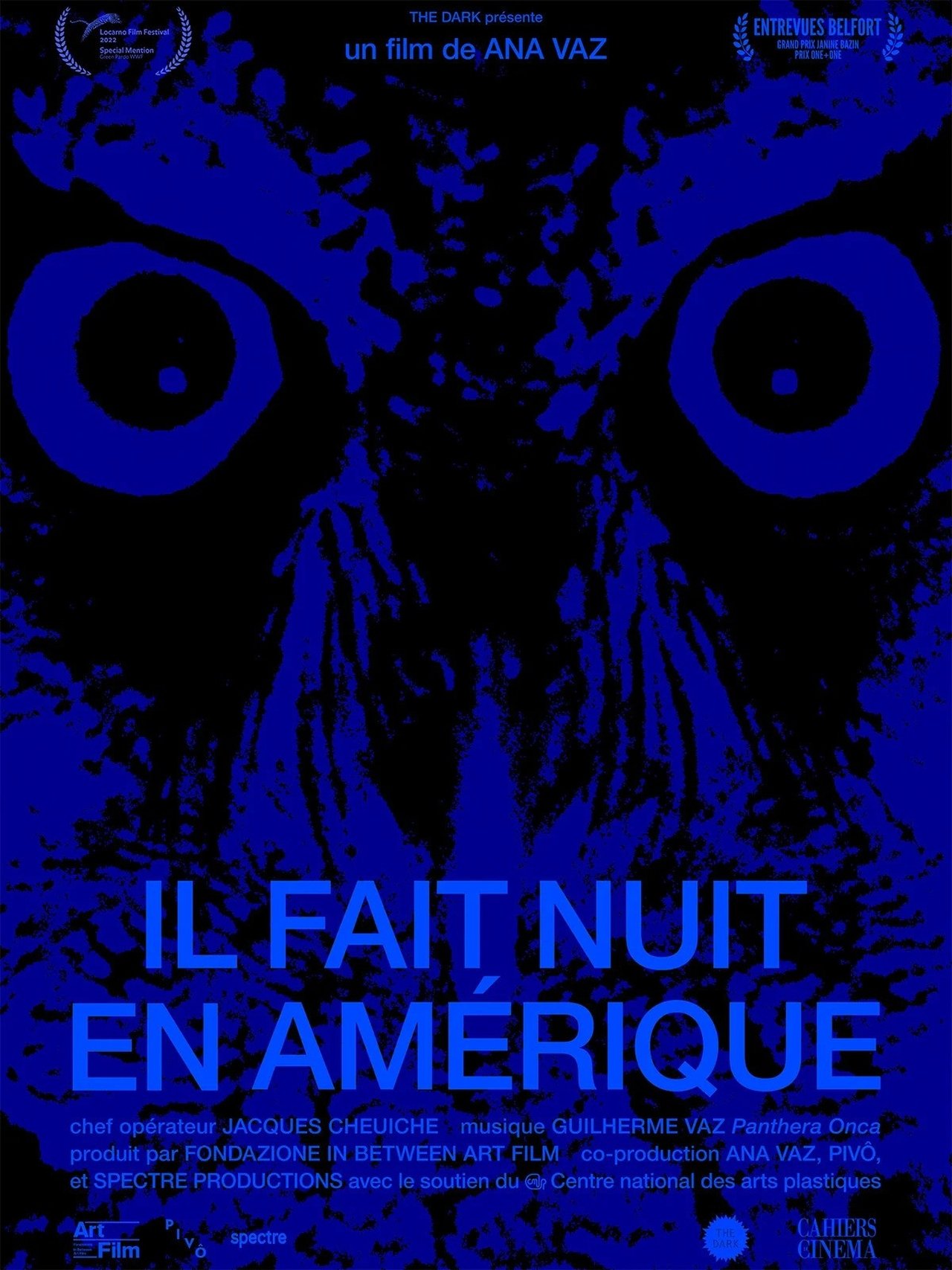 Il fait nuit en Amérique poster